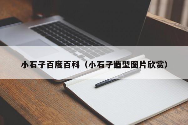 小石子百度百科（小石子造型图片欣赏）