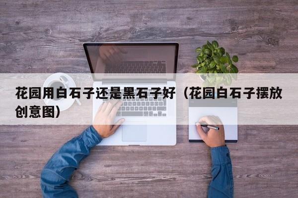花园用白石子还是黑石子好（花园白石子摆放创意图）
