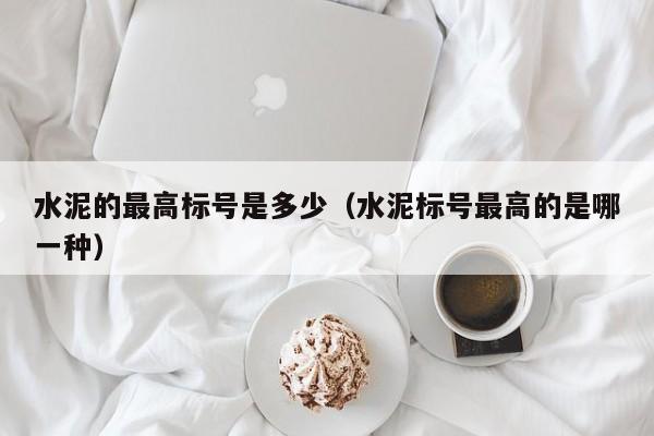 水泥的最高标号是多少（水泥标号最高的是哪一种）